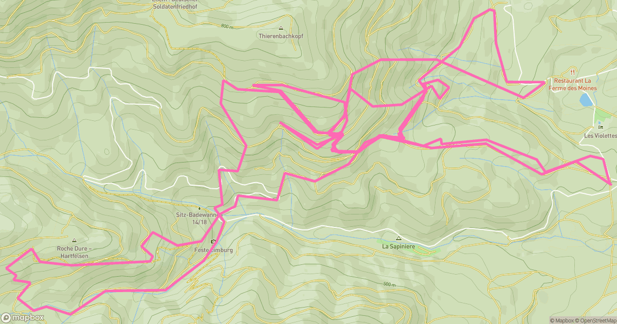 Sortie vélo dans l'après-midi